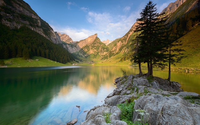 Озеро, горы, деревья, камни, лето обои,s изображение
