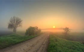 Утро, дорога, трава, деревья, туман, восход солнца