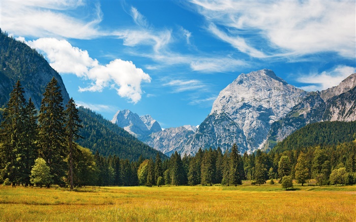 Горы, деревья, облака, трава, осень обои,s изображение