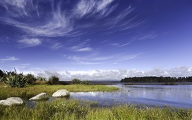 Новая Зеландия, озеро, камни, трава, голубое небо, облака HD обои