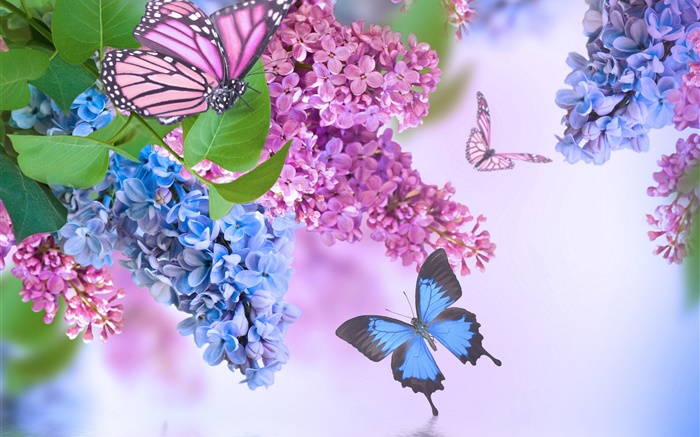 Фиолетовые цветы, сирень, бабочки обои,s изображение