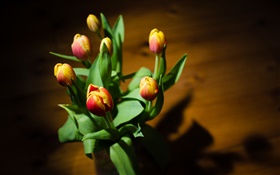Красные желтые лепестки, цветы, тюльпаны HD обои