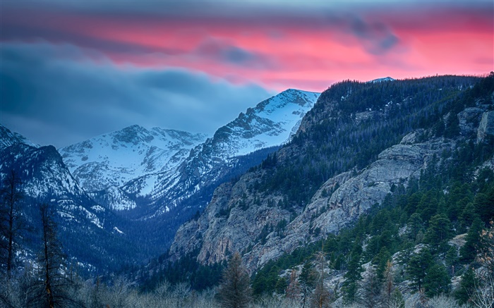 Скалистые горы Национальный парк, штат Колорадо, США, горы, деревья обои,s изображение