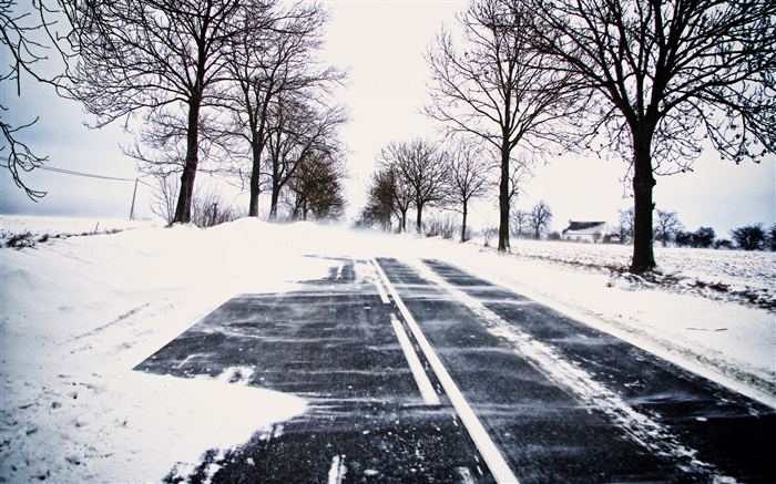 Снег, зима, дорога, деревья, линии электропередач, дом обои,s изображение