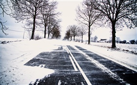 Снег, зима, дорога, деревья, линии электропередач, дом HD обои