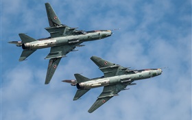 Су-22 истребитель, бомбардировщик, полет, небо HD обои