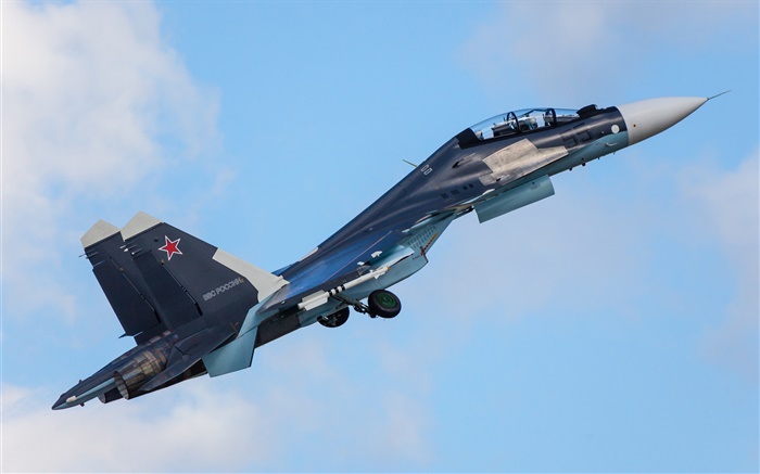 Су-30см многоцелевой истребитель обои,s изображение