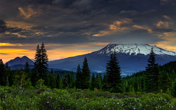 США, Калифорния, горы, деревья, облака, закат обои,s изображение