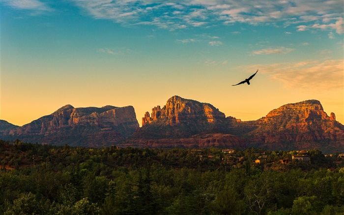 США, штат Аризона, горы, закат, птицы летают, село, сумерки обои,s изображение