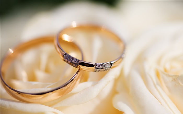 Обручальные кольца, лепестки розы обои,s изображение