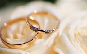 Обручальные кольца, лепестки розы HD обои