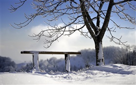 Зима, снег, дерево, скамейка