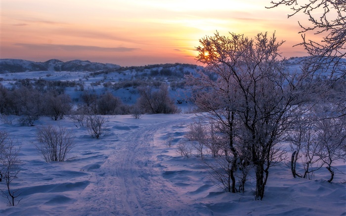 Зима, снег, деревья, закат, дорога обои,s изображение
