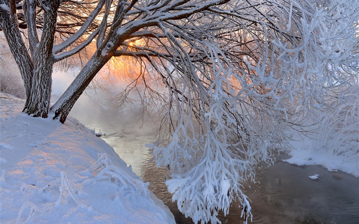 Зима, толстый снег, дерево, сучки, река, закат обои,s изображение