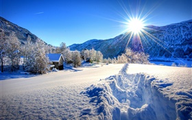 Зима, толстый снег, деревья, дом, солнце