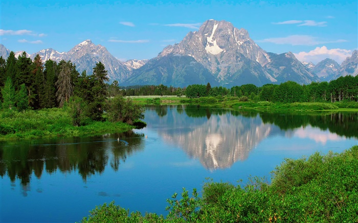 Вайоминг, США, Гранд-Титон Национальный парк, горы, озеро, деревья обои,s изображение