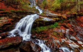 Осень, лес, река, ручей, водопады, листья HD обои