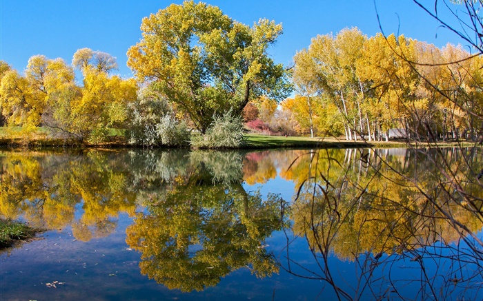 Осень, пруд, озеро, парк, деревья, вода отражение обои,s изображение