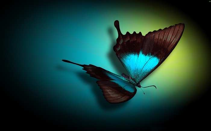 Бабочка крупным планом, синий, черный, светло обои,s изображение