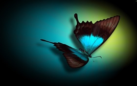 Бабочка крупным планом, синий, черный, светло