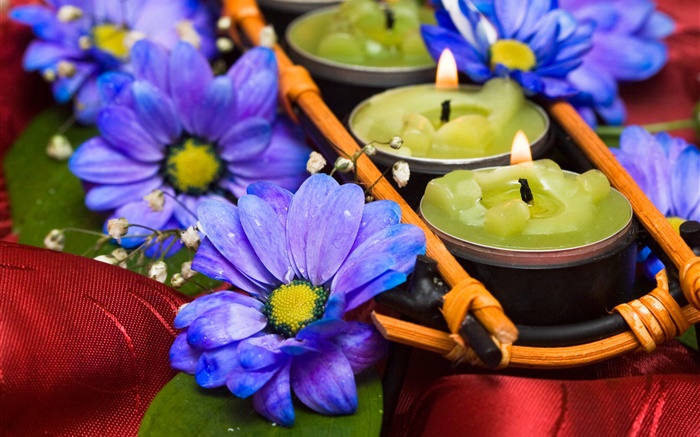 Свечи, синий хризантемы, романс обои,s изображение