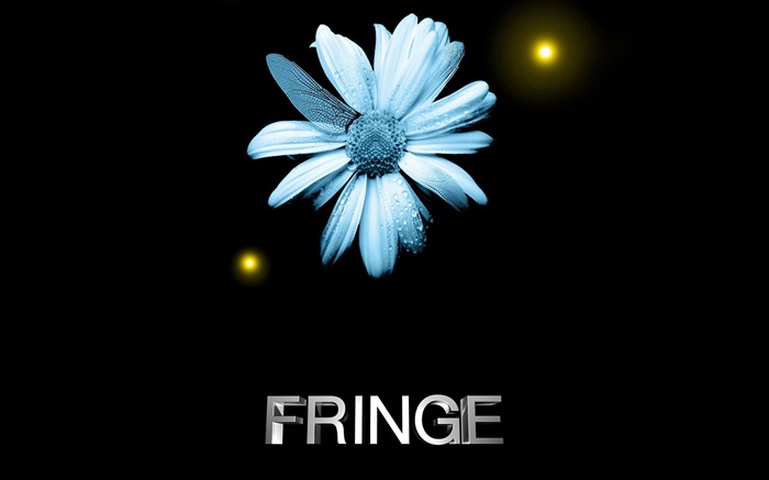 Fringe, цветок, капли воды, стрекоза крыла, творческий обои,s изображение