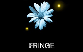 Fringe, цветок, капли воды, стрекоза крыла, творческий HD обои