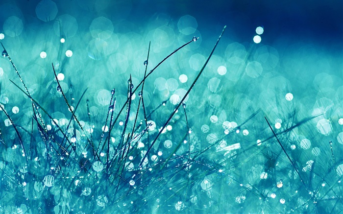 Трава, синий стиль, дождь, капли воды, блики обои,s изображение