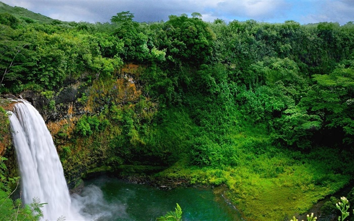 Зеленая природа, деревья, растения, водопады обои,s изображение
