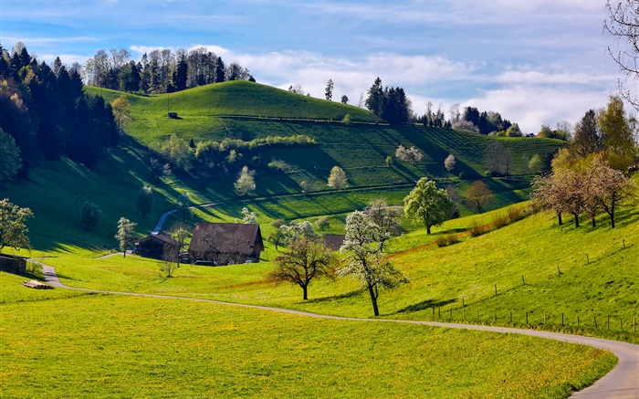 Горы, холмы, деревья, трава, зеленый, весна, дом, дорога обои,s изображение