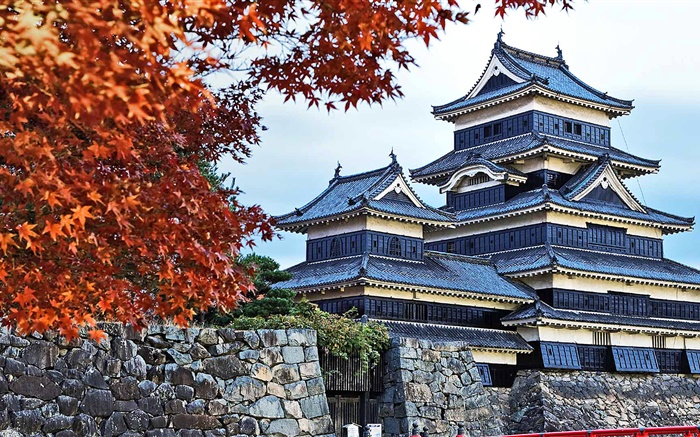 Пагода, Япония, осень, деревья обои,s изображение