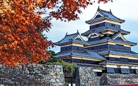 Пагода, Япония, осень, деревья HD обои