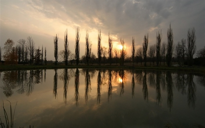 Пруд, закат, деревья обои,s изображение
