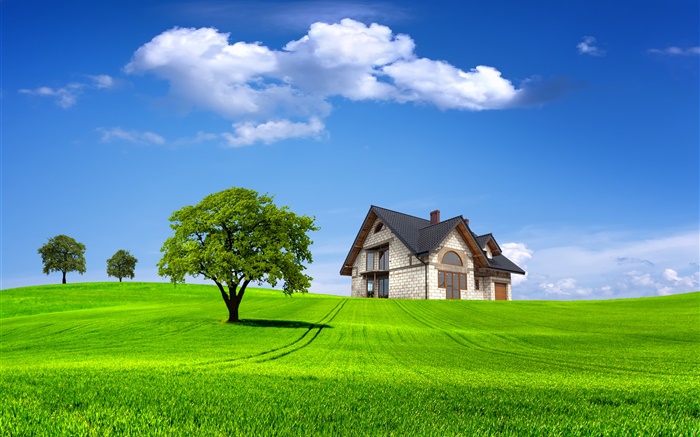 Лето, дом, деревья, поле, зеленая трава обои,s изображение