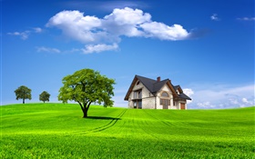 Лето, дом, деревья, поле, зеленая трава