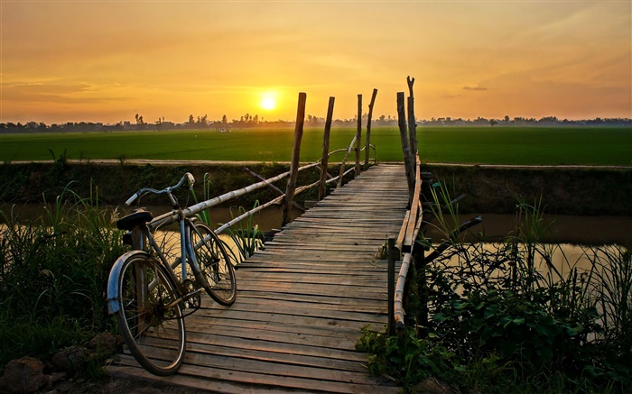 Закат, велосипед, мост, трава, поле, река обои,s изображение