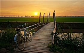 Закат, велосипед, мост, трава, поле, река HD обои