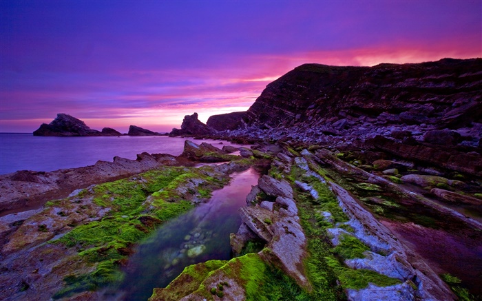 Закат, море, берег, камни, мох, фиолетовый небо обои,s изображение