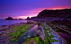 Закат, море, берег, камни, мох, фиолетовый небо HD обои