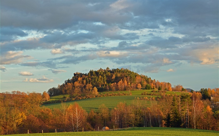 Деревья, поле, осень, склон обои,s изображение