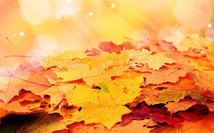 Желтые листья, осень, звезды обои,s изображение