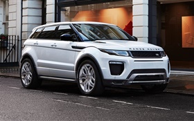 2015 Land Rover, Range Rover белый внедорожник