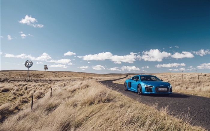 Audi R8 V10 синий автомобиль, природа, трава, дорога обои,s изображение