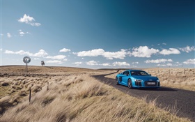 Audi R8 V10 синий автомобиль, природа, трава, дорога
