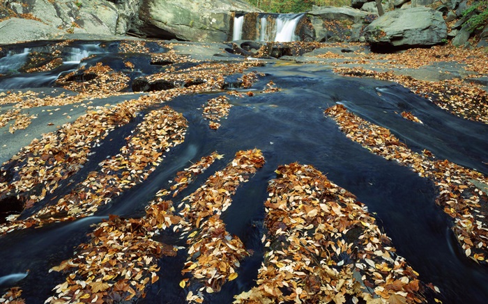 Осень, многие листья, водопад, ручей, камни обои,s изображение
