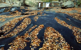 Осень, многие листья, водопад, ручей, камни HD обои