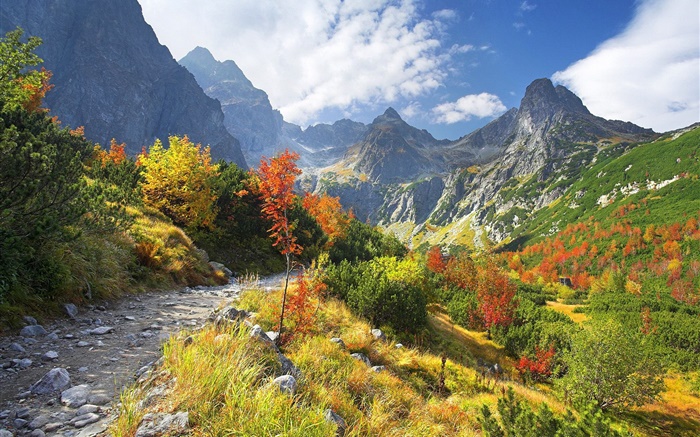 Осенью природа, горы, желтая трава, деревья, облака обои,s изображение