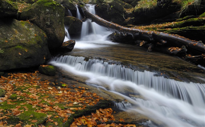 Осень, красные листья, ручей, ручей обои,s изображение