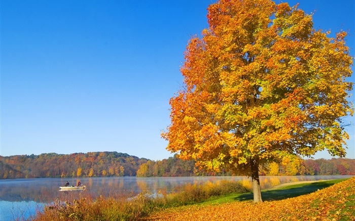 Осень, дерево, желтые листья, река обои,s изображение