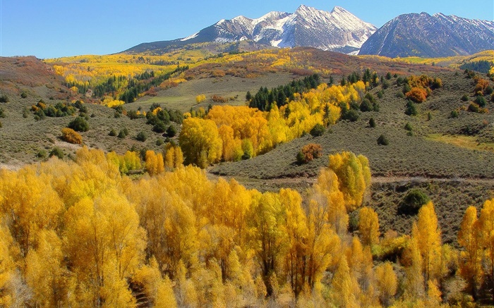 Осень, деревья, горы обои,s изображение